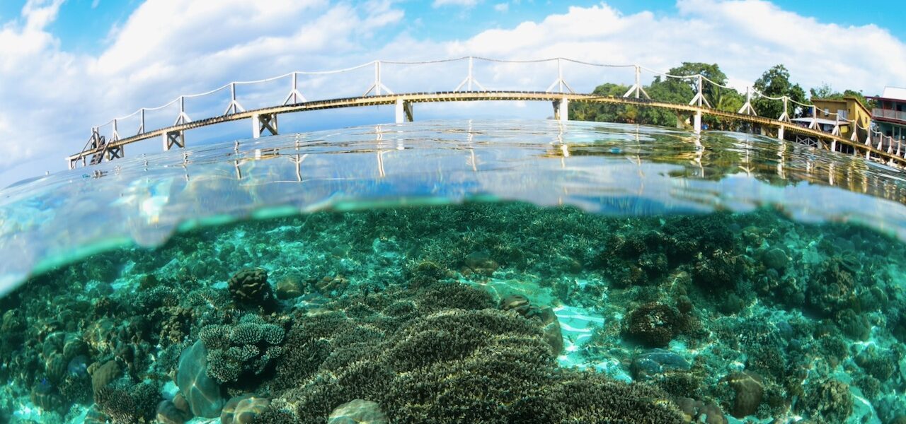 Diving in Gizo: A Hidden Gem of the Solomon Islands