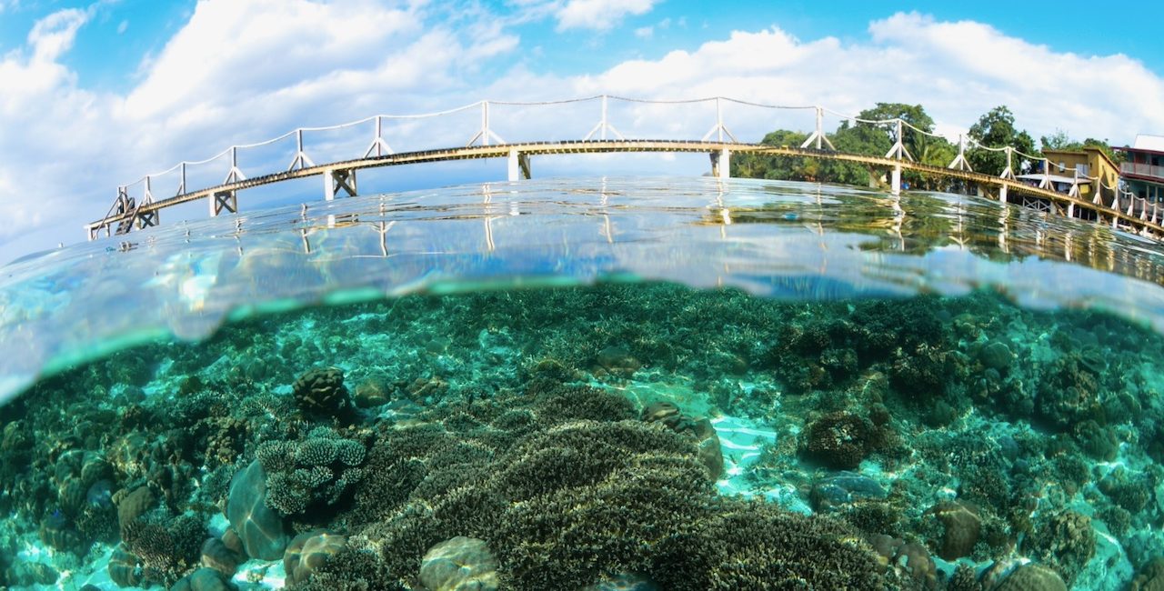Diving in Gizo: A Hidden Gem of the Solomon Islands