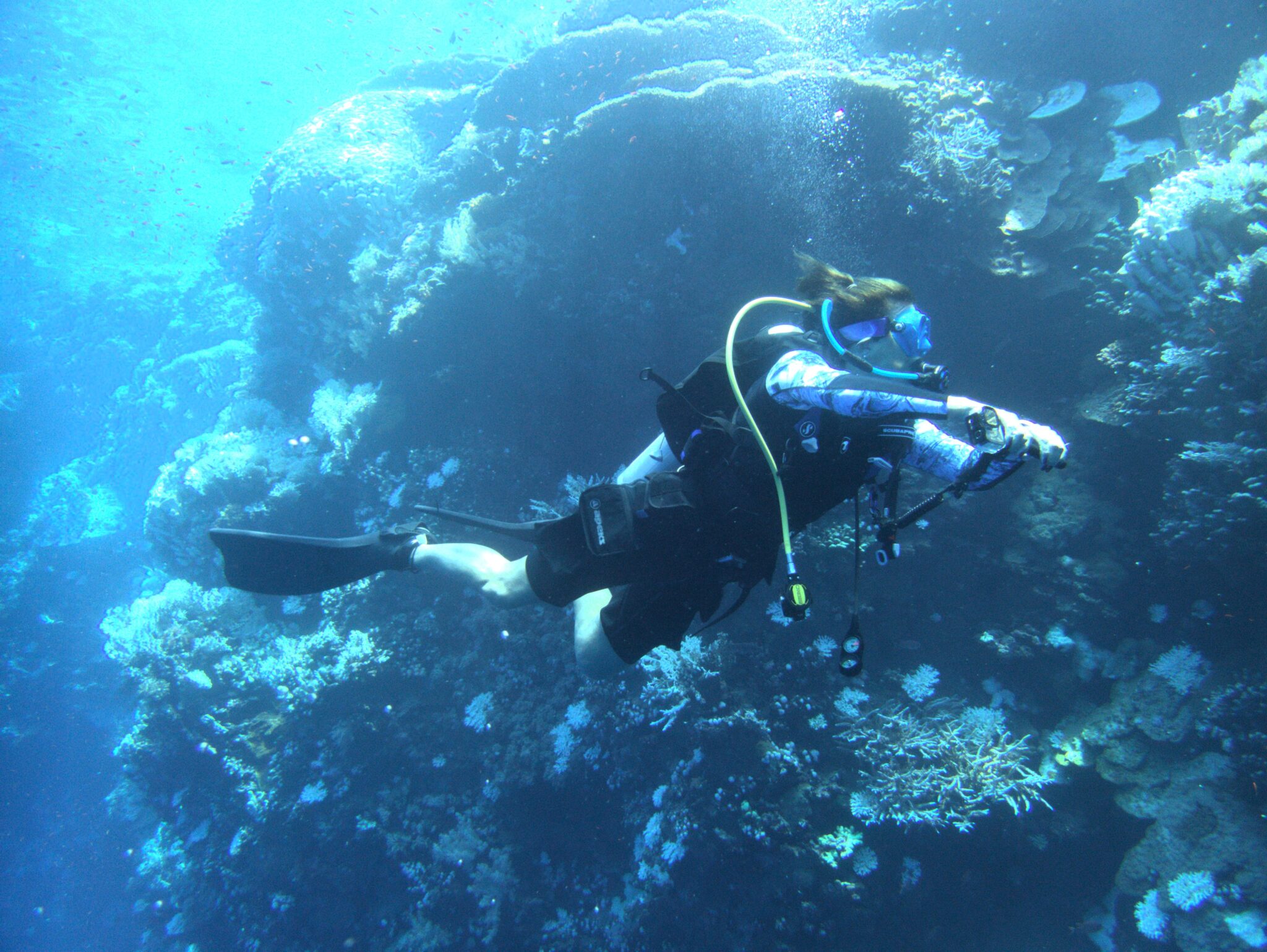 Nikky Weglop's mother diving in front of a reef