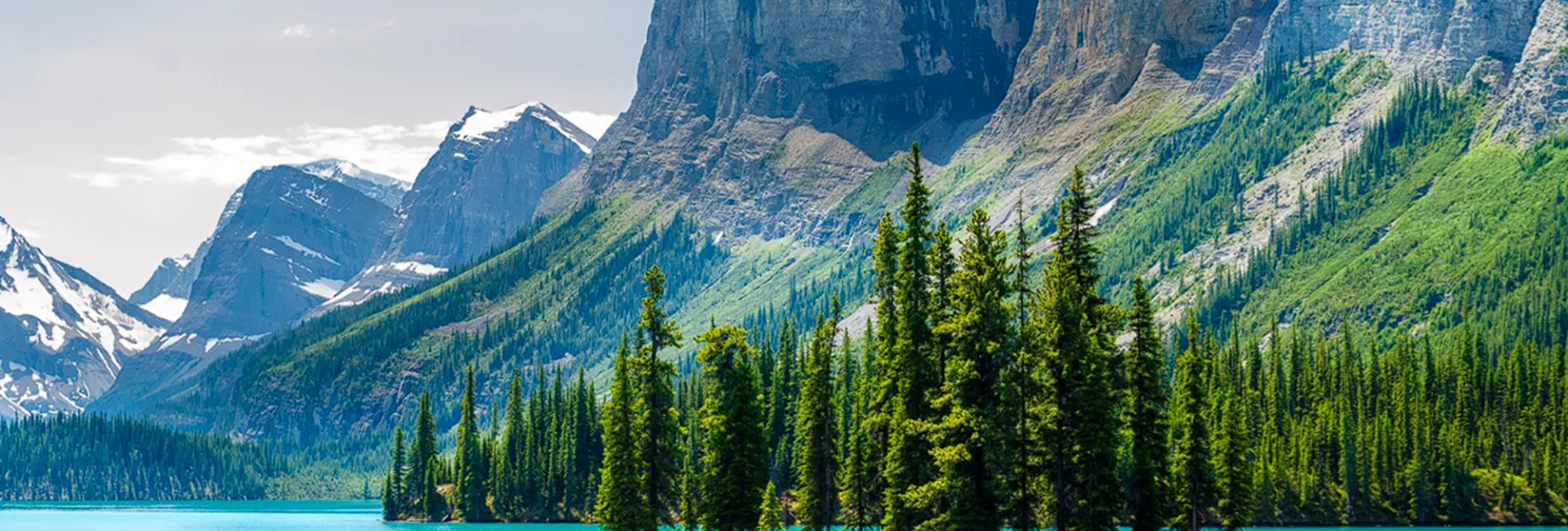 The Best Time of Year To Dive in Canada