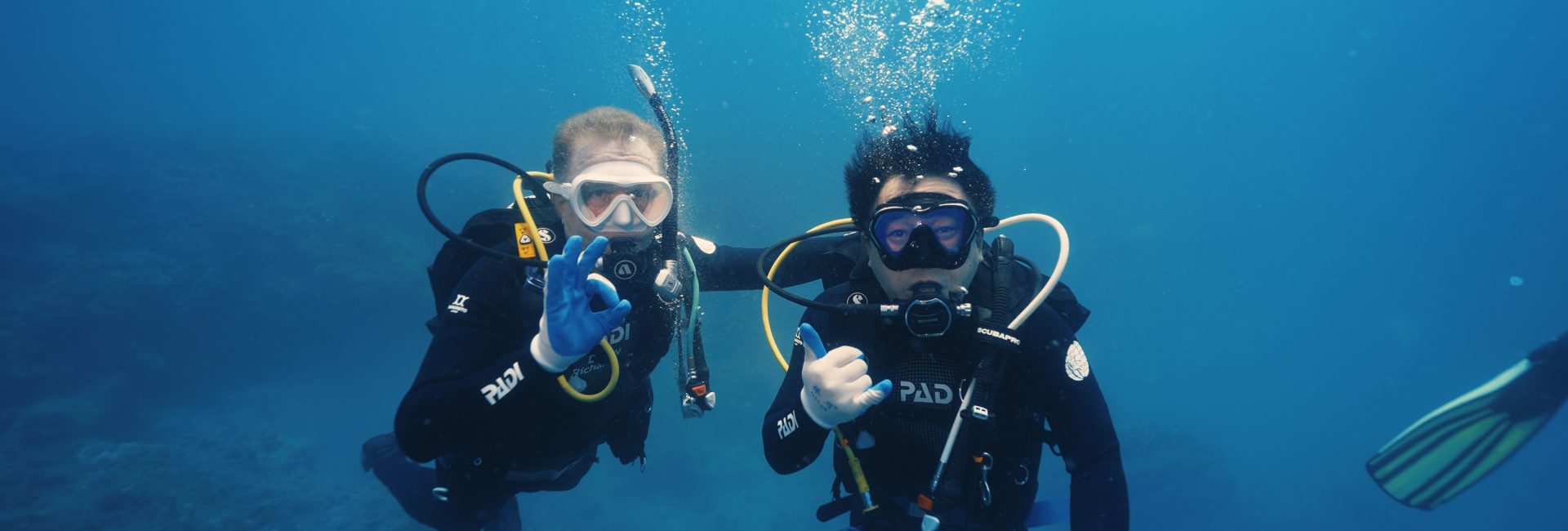 Huang Bo, PADI CEO Drew Richarson and 50 PADI Divers Plant Corals in Dadonghai for World Ocean Day