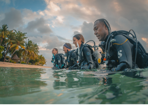 four divers walking out of the ocean