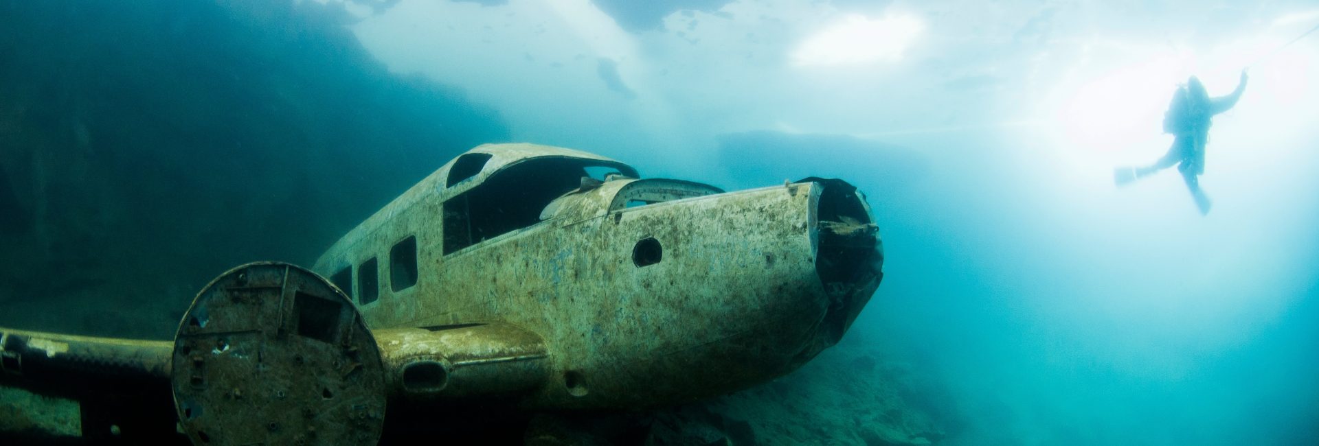 The Best Dive Sites in Canada