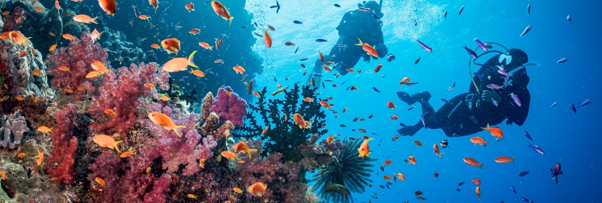 Quiz: Moet je Divemaster of Master Scuba Diver als doel stellen?