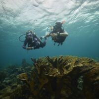 Two divers swim over a reef in the Caribbean island of Curacao