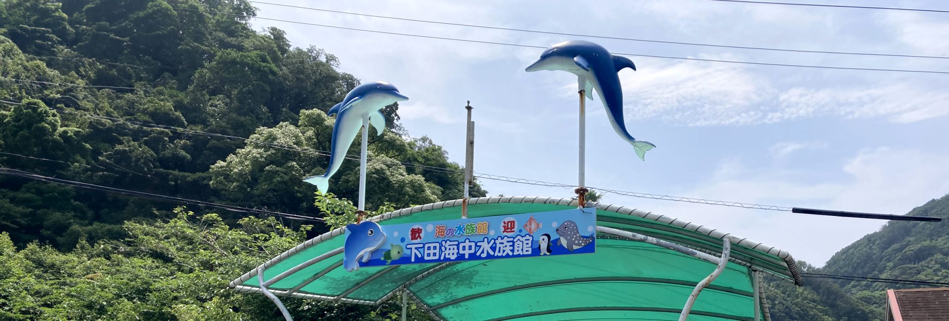 廃漁網に新たな命を――下田海中水族館で第3回「回収＆リサイクルプロジェクト」開催！
