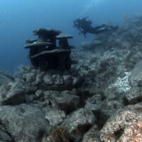 A diver swimming above one of the NAR natural reef structures