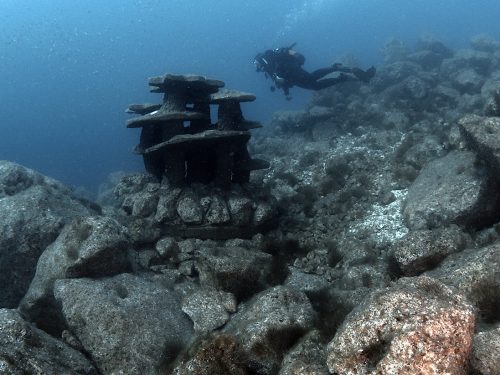 A diver swimming above one of the NAR natural reef structures