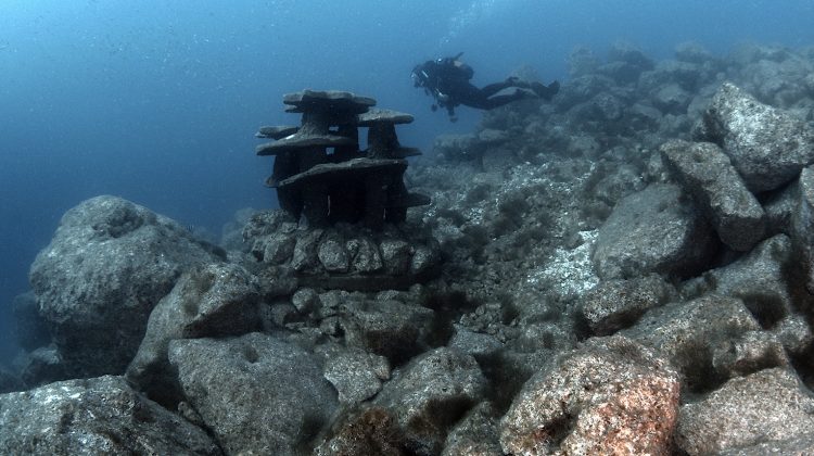 A diver swimming above one of the NAR natural reef structures