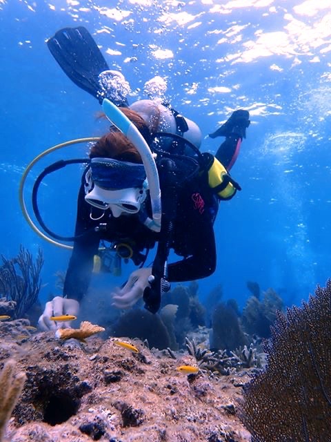 Aliah Banchik taking part in underwater coral restoration