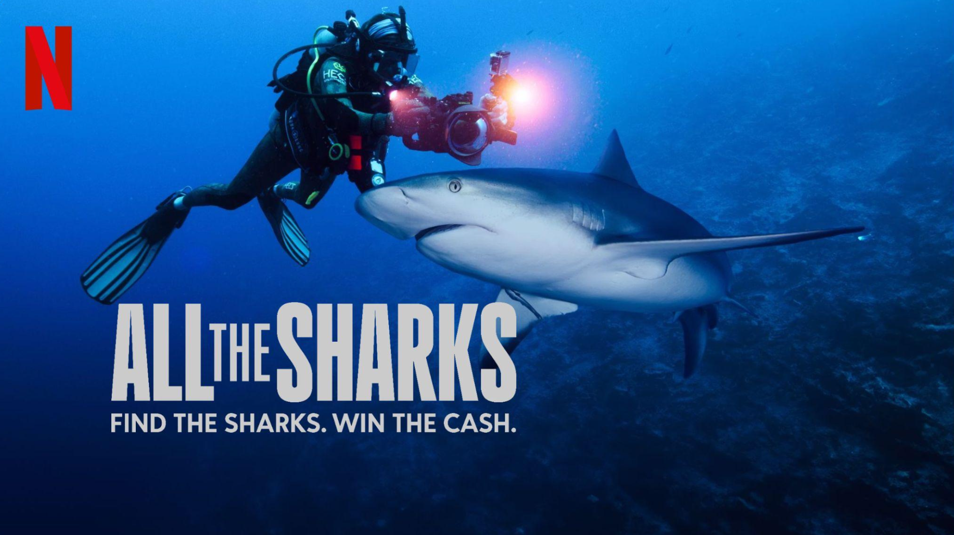 The Netflix poster for All the Sharks