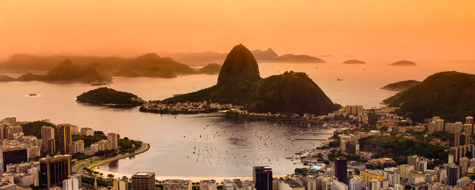 The Best Time of Year To Dive in Brazil