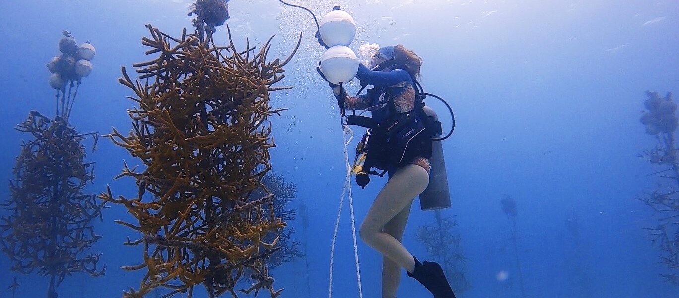 Dalla paura dell’oceano a filmare gli squali per Netflix: storia di una subacquea PADI