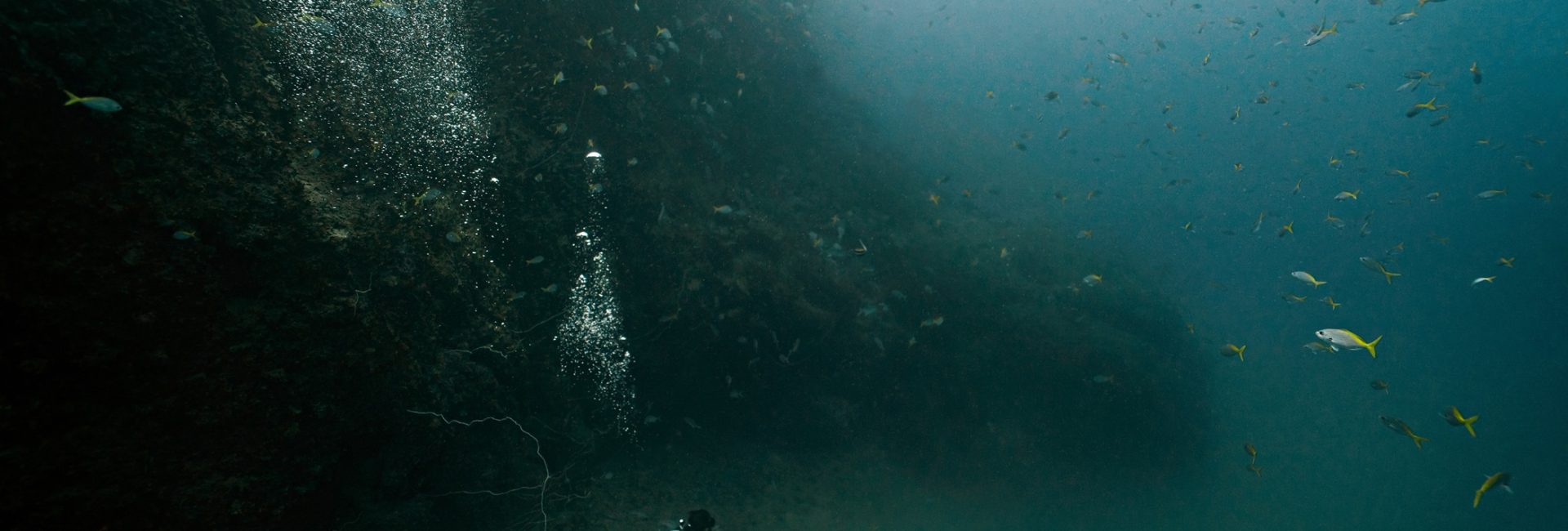 What Is a Thermocline?