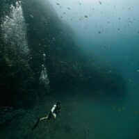 A scuba diver in murky water