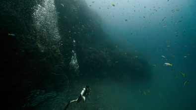 A scuba diver in murky water