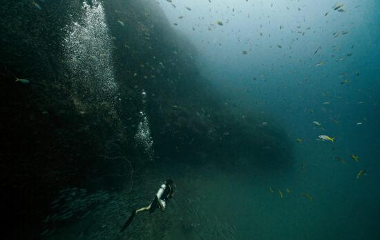 A scuba diver in murky water