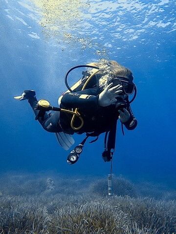 Alaia Junior AmbassaDiver sott'acqua, che dà il segnale di ok