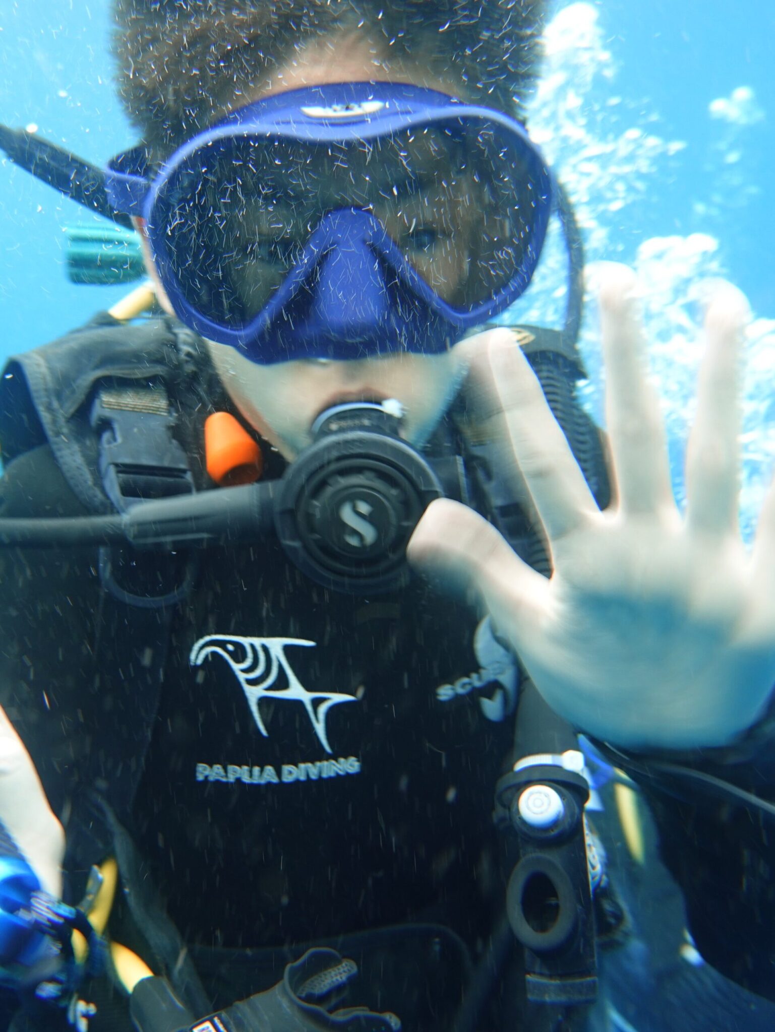 My PADI AmbassaDiver junior