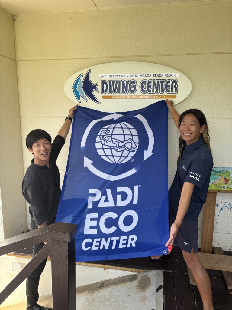 Eco Center flag in Japan