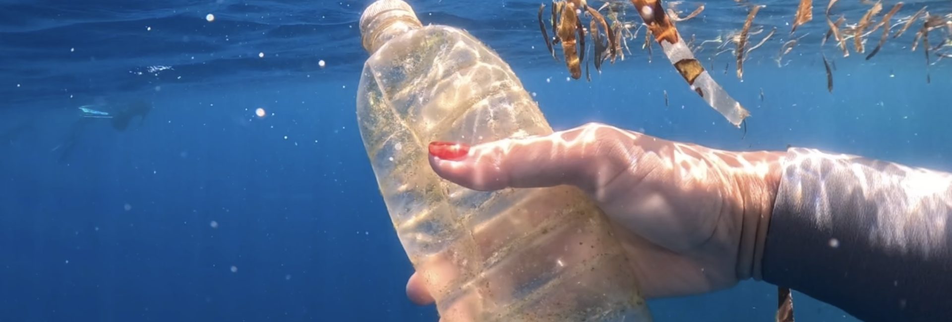 フリーダイバーと環境保護