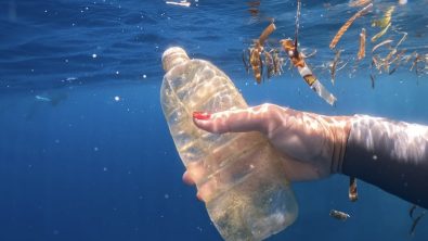 diver holding a disposed bottle underwater
