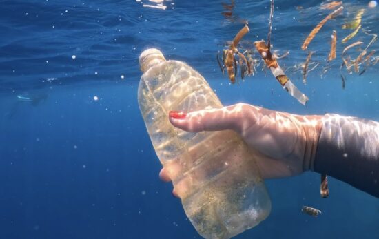 diver holding a disposed bottle underwater
