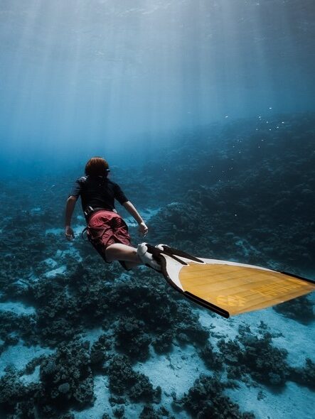 Ambasciatore Lennox Junior