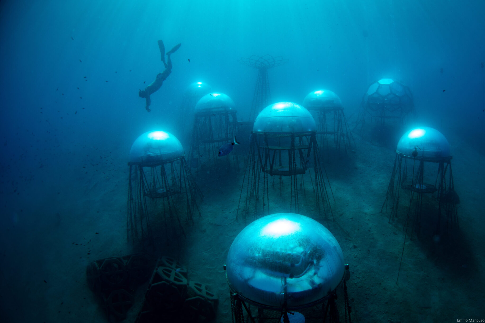 biosphere underwater