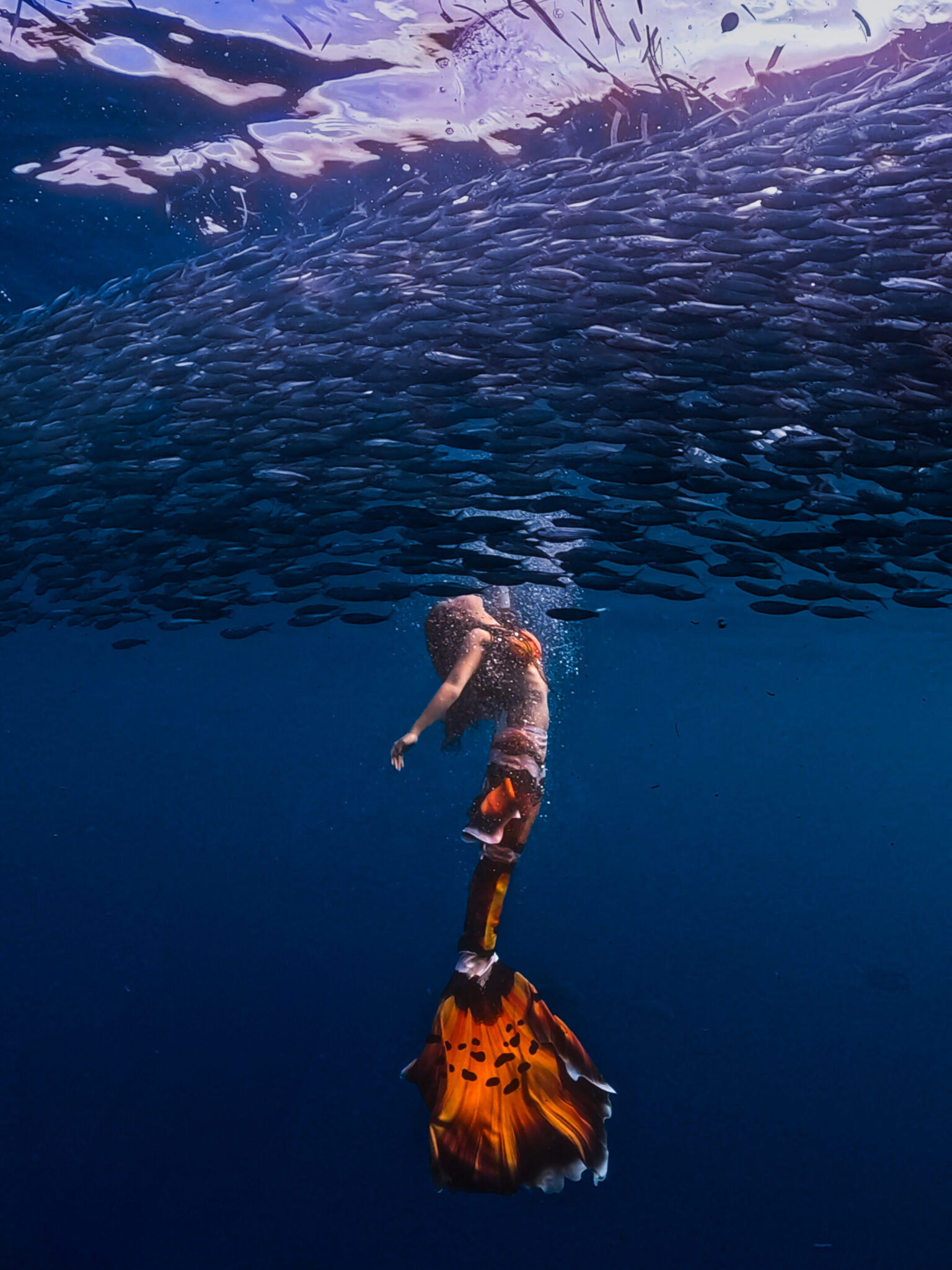 PADI AmbassaDiver junior Alice