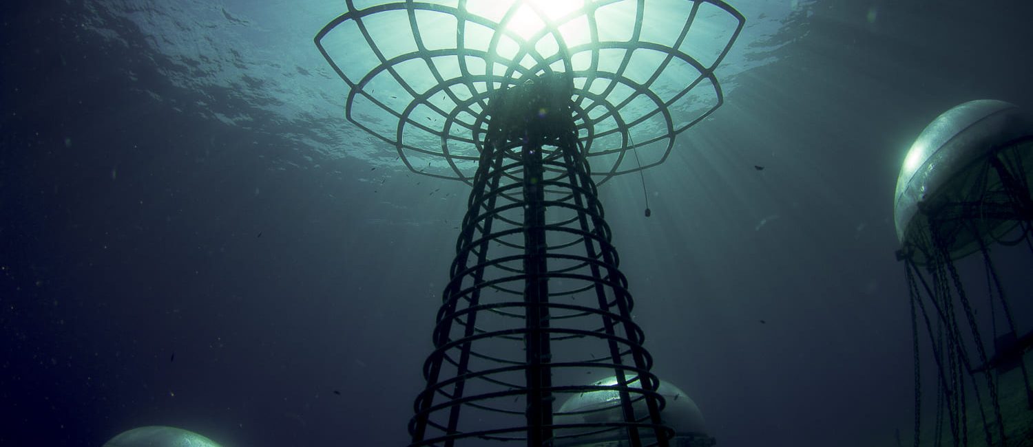 Why Nemo’s Garden in Italy Should Be on Your Dive List