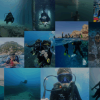 A collage of the 2025 PADI Junior AmbassaDivers