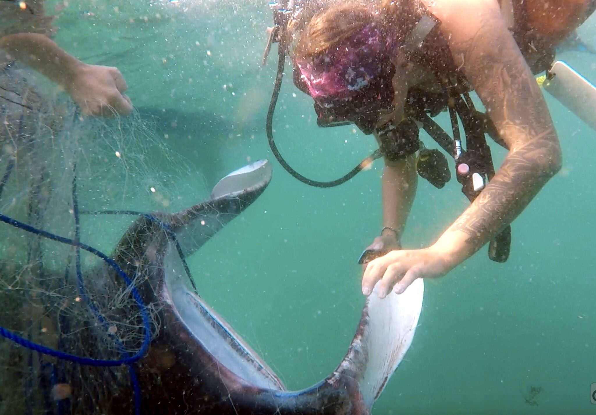 La bióloga marina Nakia Cullain rescatando una manta raya de una red de pesca