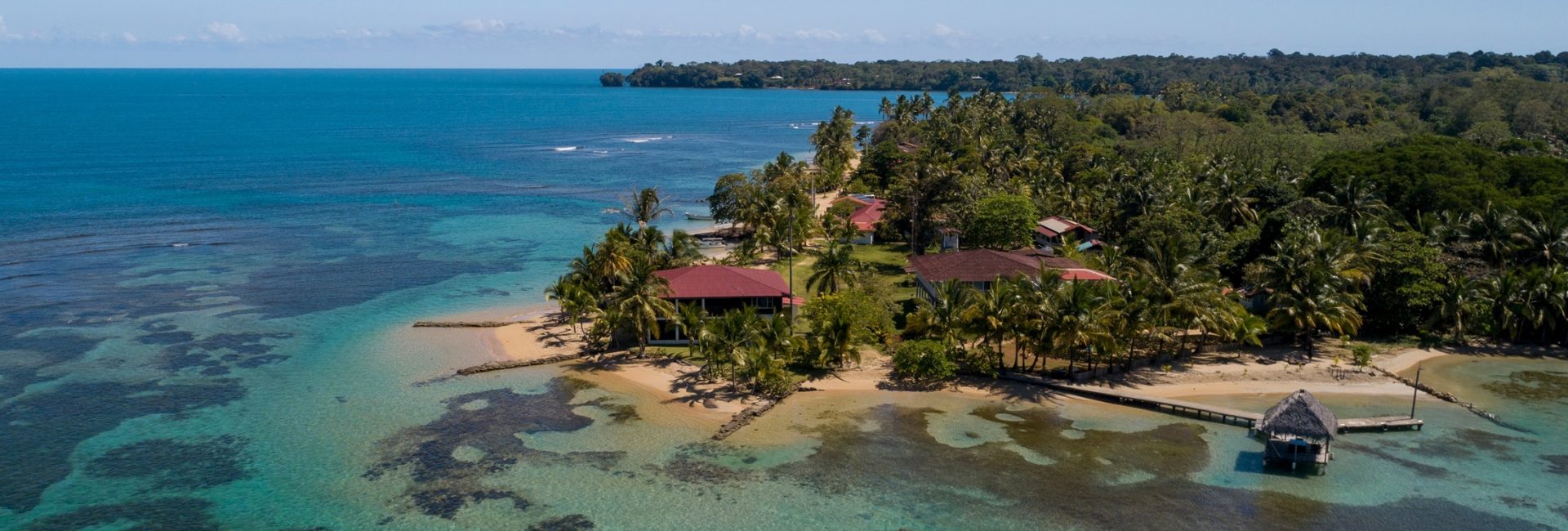 The Best Time of Year To Dive in Panama