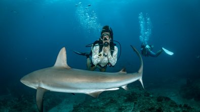 Close up of a diver looking at a shark