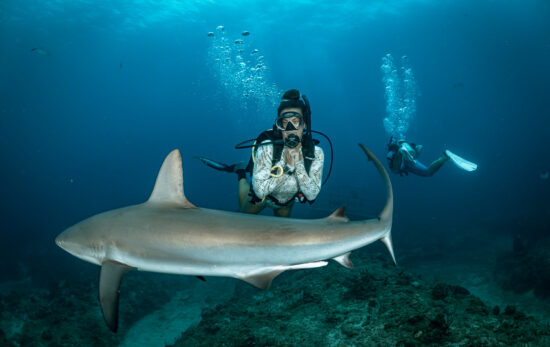 Close up of a diver looking at a shark