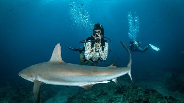 Close up of a diver looking at a shark