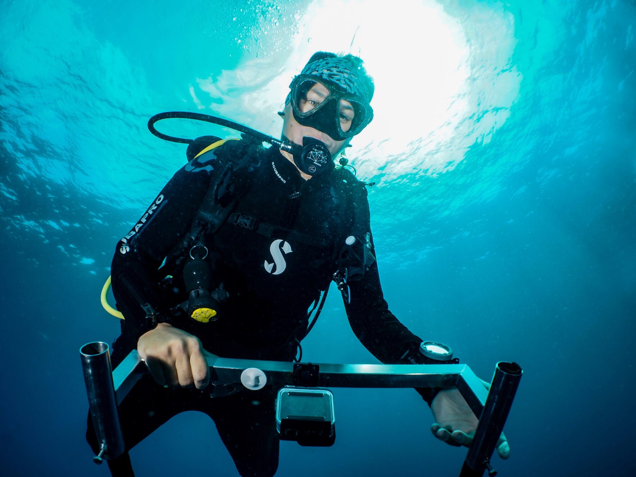 Nakia Cullain 收集数据，以便能够识别莫桑比克的蝠鲼个体。