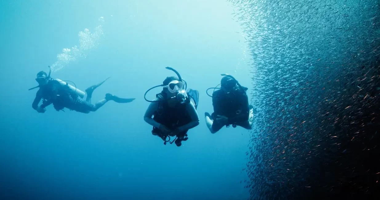 5 Dive Sites That Prove the Deep Diver Course Is Worth It