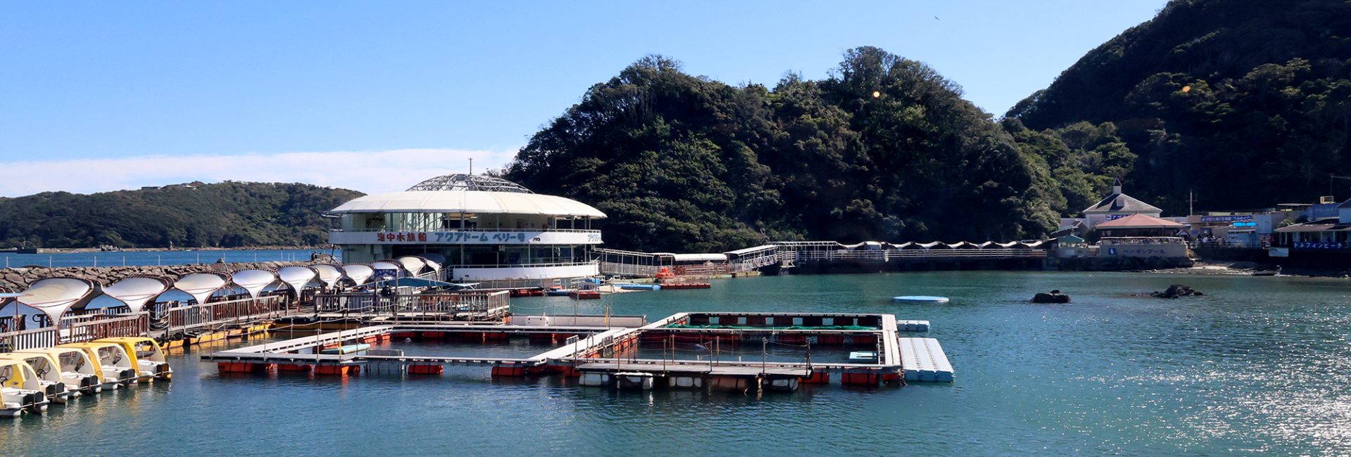 「捨てない」から「一歩進んで活かす」へ！PADI AWARE（日本）×下田海中水族館「廃漁網の回収とリサイクルプロジェクト」第4回レポート