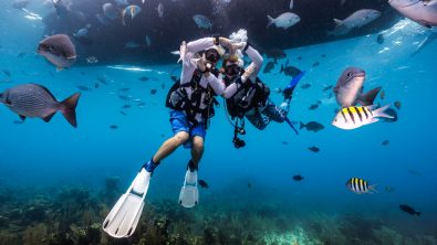 padi club members diving in belize creating a heart