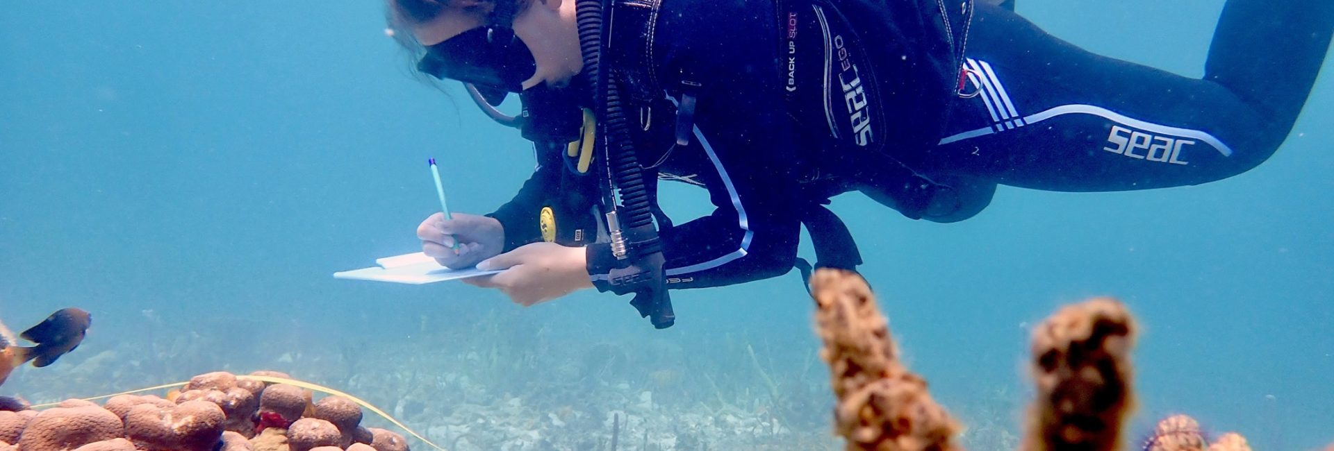 Ocean Conservation Activities in Panama for Scuba Divers