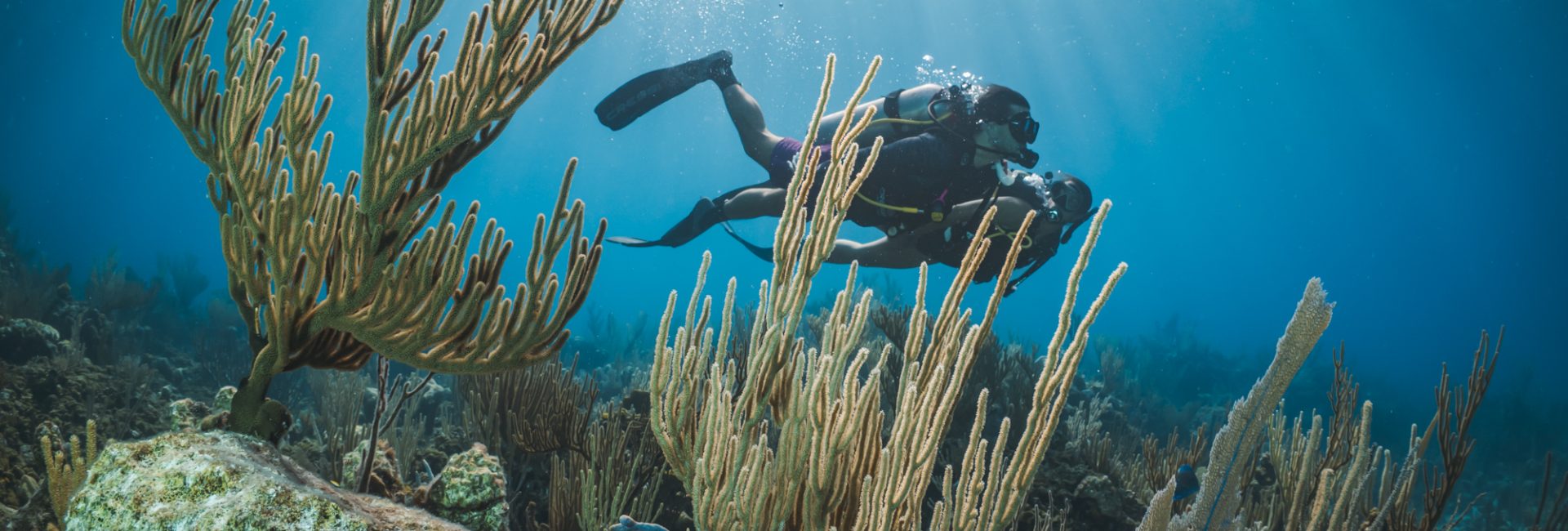 5 of the Best Places To Learn To Dive in North America & the Caribbean