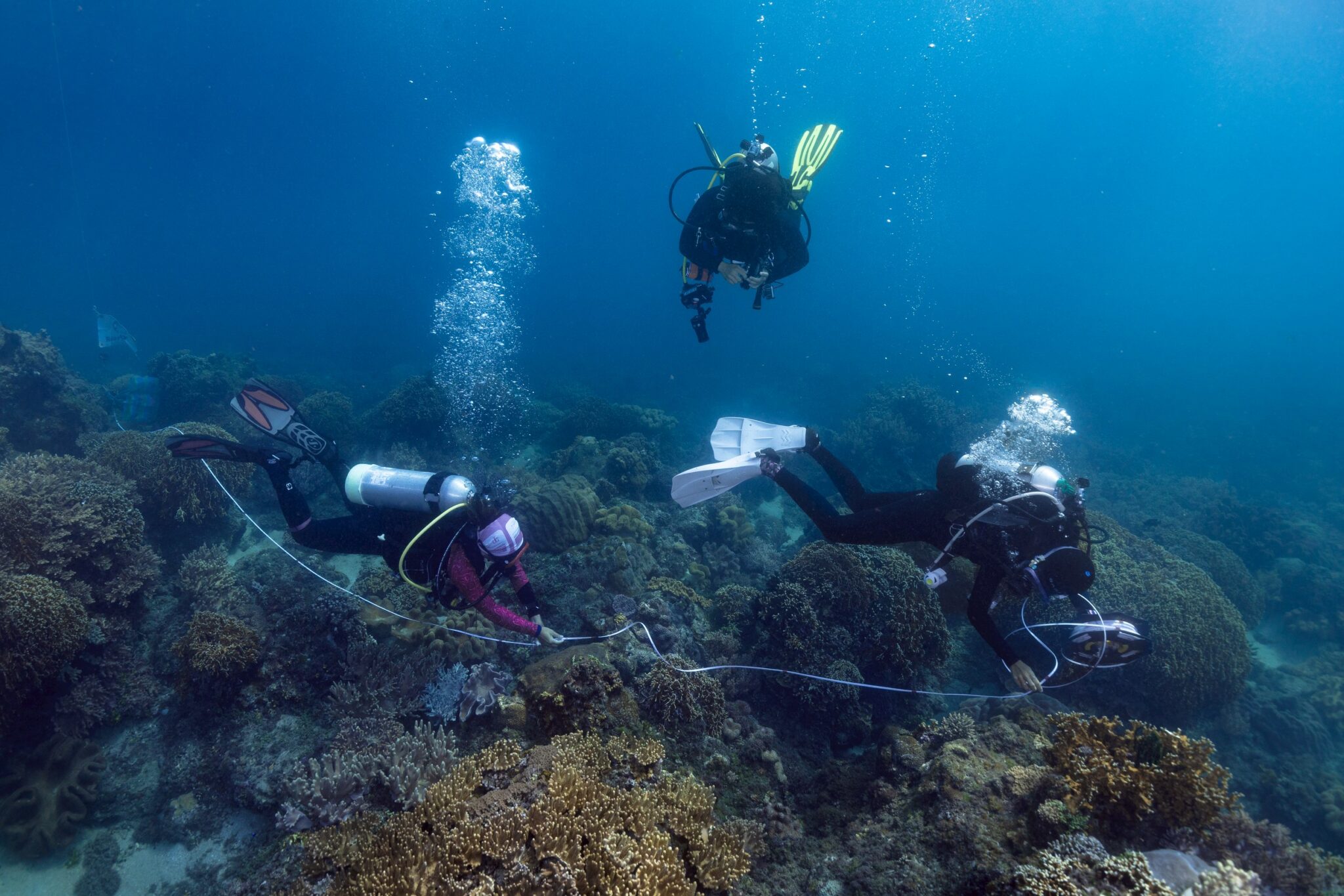 Carrie Tsai - Ocean Torchbearer Award Winner - performing a reef check with two other divers