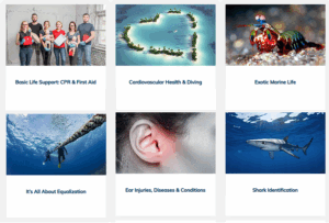 A grid of six images showing different online quizzes you can take on DAN's website