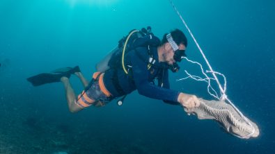 Robin Philippo - Ocean Torchbearer Award Winner - diving with an artificial reef structure