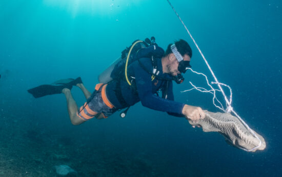 Robin Philippo - Ocean Torchbearer Award Winner - diving with an artificial reef structure