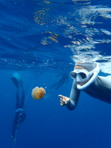 水面上的自由潛水員指向水母