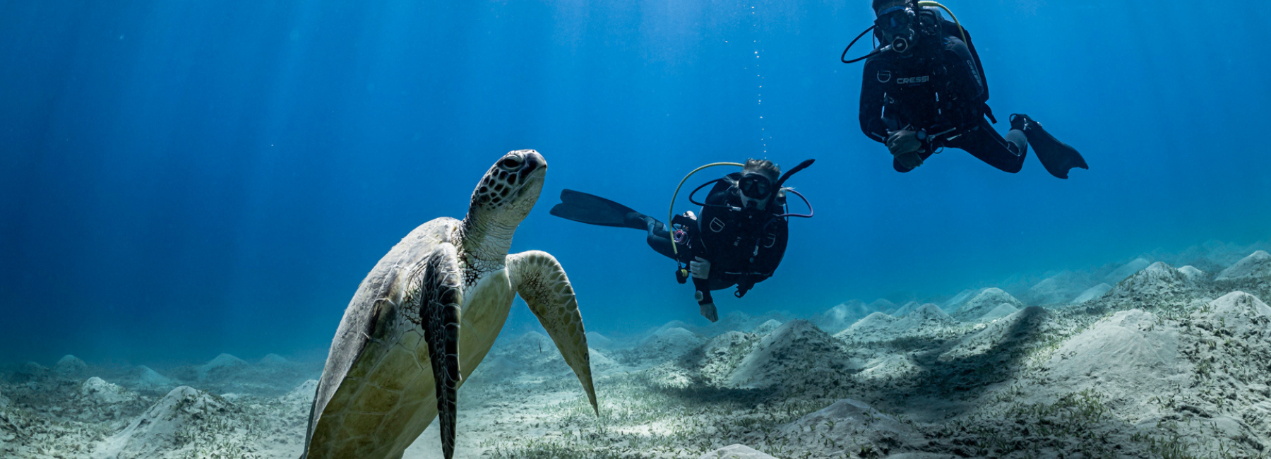 PADI Through the Decades: the 2020s (So Far)