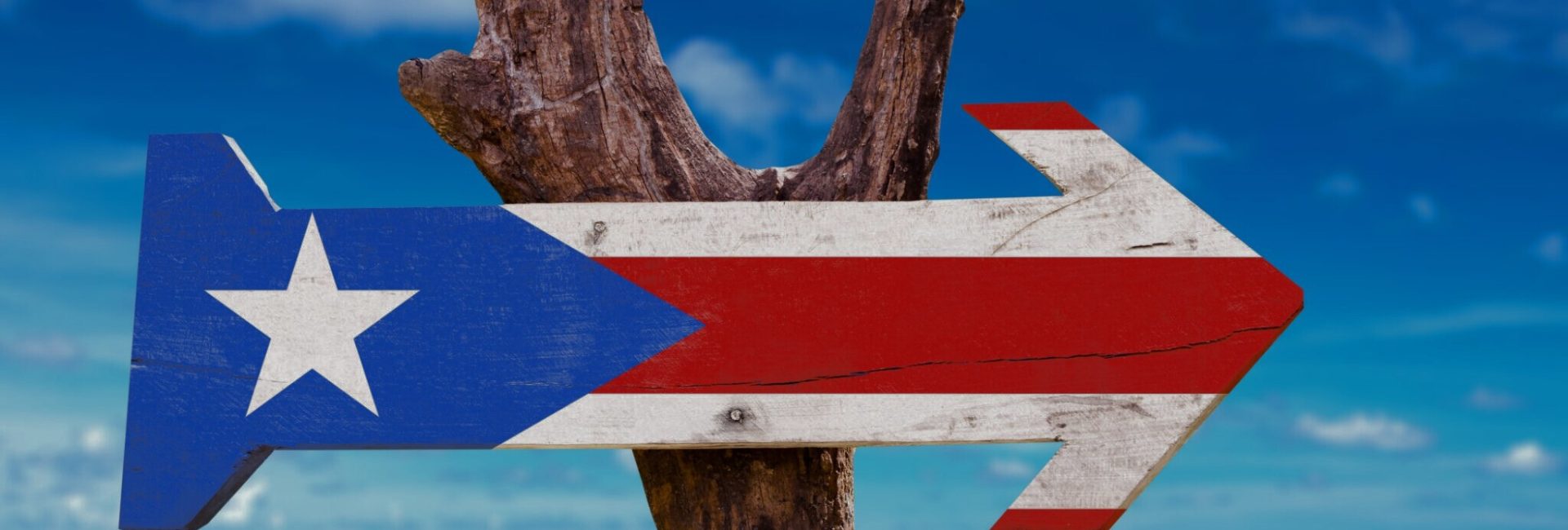 The Best Dive Sites in Puerto Rico